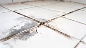 jak odnowić fugi między płytkami