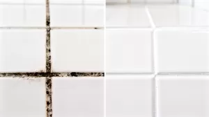 jak odnowić fugi w łazience