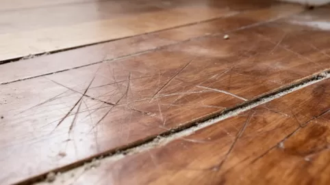 jak odnowić panele podłogowe laminowane